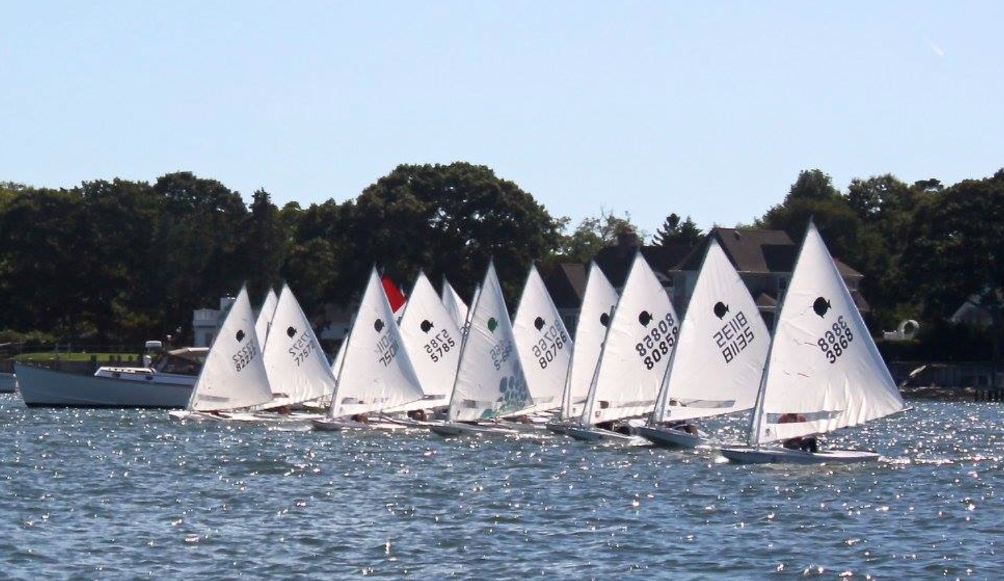 Image showing start of a Sunfish race