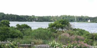 10th Annual Porch Party view