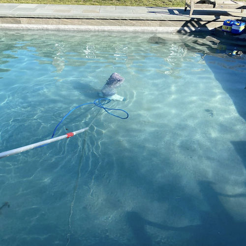 Shelter Island Pools spring cleaning