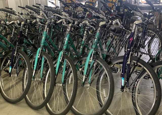 Piccozzi's Bike Rentals