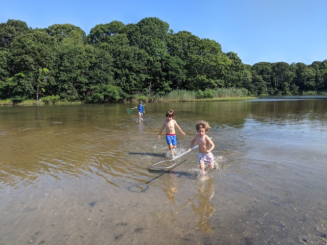 EcoDiscovery Experience boys splashing in low tide marsh