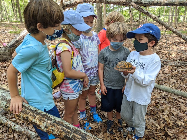 EcoDiscovery Experience Kids Gathered around a turtle