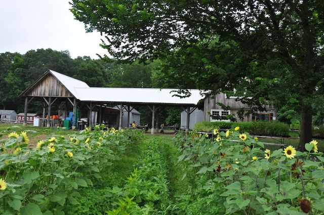 Sylvester Manor Farmstand 