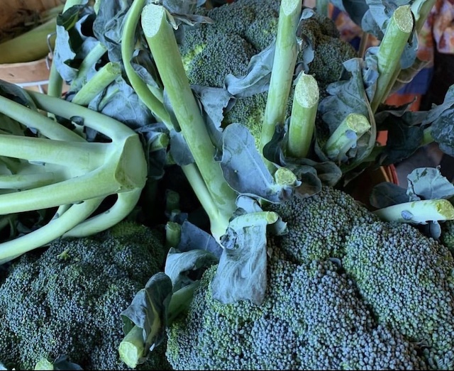 Shelter Island IGA local Broccoli