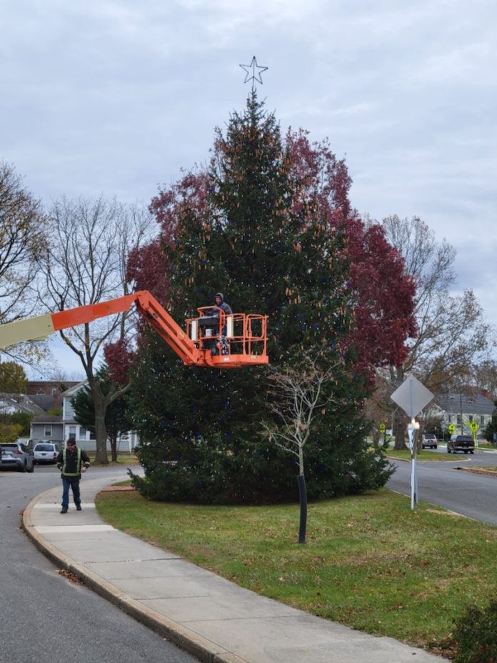 Chamber of Commerce Tree Lighting