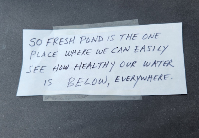 This image is a handwritten caption explaining that Fresh Pond is the one place on Shelter Island where the groundwater health can be seen at the surface.